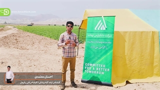 روز مزرعه ملون مارشال