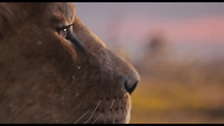 تریلر فیلم Mufasa: The Lion King