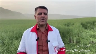 یسنا زنده پیدا شد
