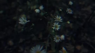 سوخت ~