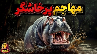 اسب آبی، پرخاشگر، نترس  و بی رحم حتی در مقابل پرقدرت ترین ها