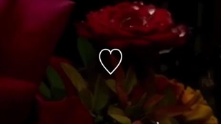 #ویدیو قرانی♡