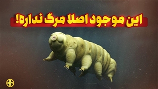 موجودی که فشار عمیق ترین نقطه اقیانوس رو تحمل میکنه!!