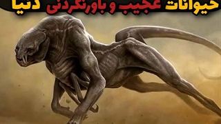 ۵ حیوان عجیبی که از دیدنش شوکه و شگفت انگیز میشوید 