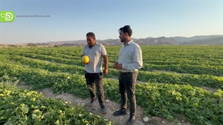 معرفی ملون 2053