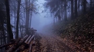 ویدیو خام برای اذیت✨