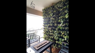 اجرای دیوار سبز طبیعی