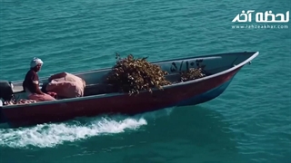 جاهای دیدنی قشم؛ مقصدی خانوادگی برای تجربه های فراموش نشدنی!