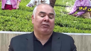 توقف صادرات فولاد با افزایش فاصله نرخ ارز نیمایی و آزاد