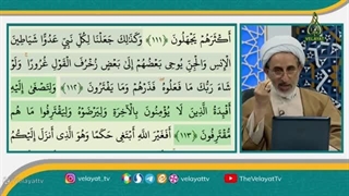 پاسخ کوتاه استاد رستم نژاد به شبهه عبدالعلی بازرگان گه میگه در حجاب اجبار نیست! پیلینگ شیمیایی