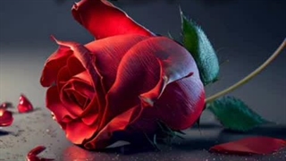 آهنگ رپ ارباب از مهرشاد رپی ( دیس به فدایی!!! )