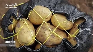 پالایشگاه ستاره خلیج فارس در لیست فروش دولت