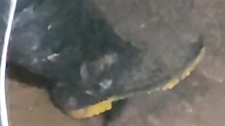 تلاش آبفای پرند برای شکستگی لوله ورودی مجتمع دریای نور