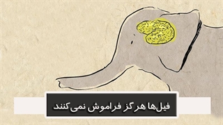 فیلها هرگز فراموش نمیکنند