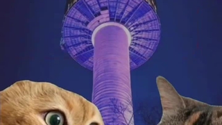 وابستگی به فیلمای کره ای