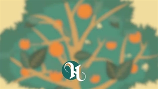 نمونه موشن گرافیک برای مزون لباس حورا