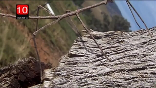 استفاده از امواج صوتی به عنوان راهکاری عالی در کنترل حشرات