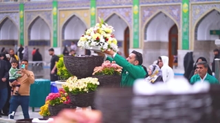 نماهنگ گل آرایی حرم مطهر رضوی در دهه کرامت - میلاد امام رضا(ع)