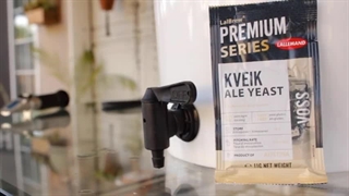 مخمر برای تولید نوشیدنی