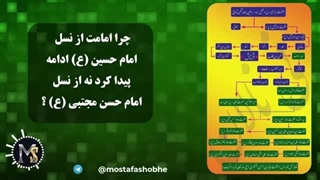 چرا امامت از نسل امام حسین (ع) ادامه پیدا کرد ؟
