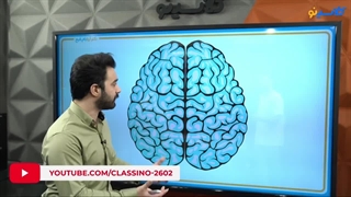 تشریح مغز گوسفند با استاد بام رفیع