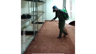 سمپاشی ساس توسط شرکت سمپاشی معجزه ( mojezee.com )