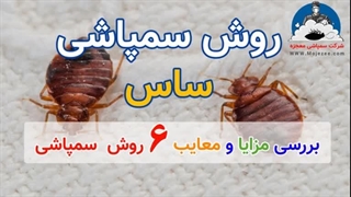 روش سمپاشی ساس چگونه است -mojezee.com