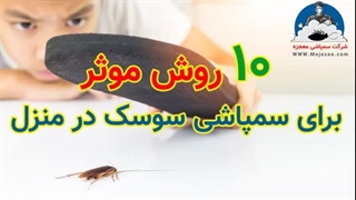 10 روش موثر برای سمپاشی سوسک در منزل