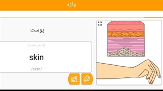 صفر تا صد زبان انگلیسی 23