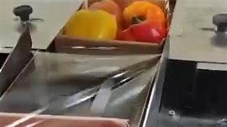 دستگاه بسته بندی فلفل دلمه