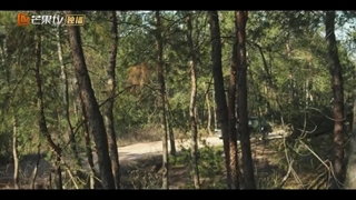 قسمت 33 سریال چینی ستاره های دنباله دار Shooting Stars 2024 با زیرنویس فارسی