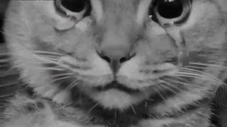 دل را به کجا مشغول کنم که دیگر تو را یاد نکند