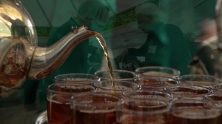 خدمت رسانی مواکب حریم رضوی به زائران امام رضا علیه السلام