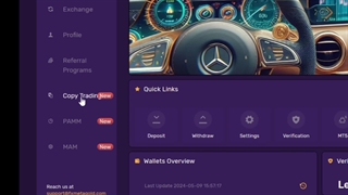 توضیح مختصر در رابطه با کپی ترید ، پم و مم