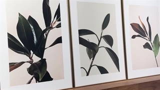 قاب عکس دکوراتیو