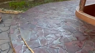 لاشه طبیعی برای نمای دیوار و محوطه سازی