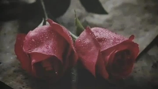 کلیپ عاشقانه، اهنگ عاشقانه