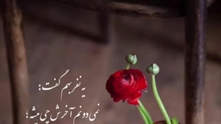 کلیپ پرمعنی