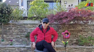 چطوری میشه با کمتر از 2 میلیارد یا حتی رایگان مهاجرت کرد⁉️ موسسه ملکپور