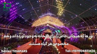 گلخانه دیجیتال در ژاپن