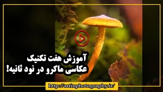 آموزش 7 تکنیک عکاسی ماکرو در 90 ثانیه!