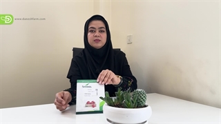 بهترین ارقام گوجه دو منظوره