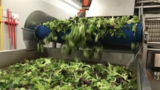 دستگاه خشک کن چای