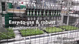 خط کشت نشای گل