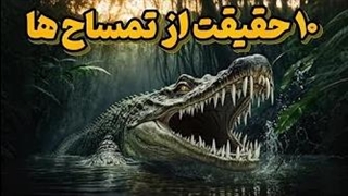 جالبترین دانستنی راجع به زندگی تمساح که نمیدانید