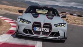 طنز گربه ای