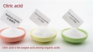 نماینده مواد اولیه غذایی شرکت اینساین چین در ایران