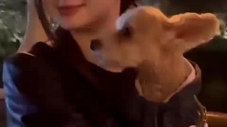 منتشر شده از آسا ❤️✨