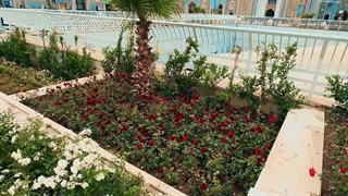 تصاویری زیبا و متفاوت از گل‌آرایی فضای سبز حرم