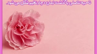تزریق فیلر آلمانی برای جوانسازی واژن در تهران ترمیم سوختگی